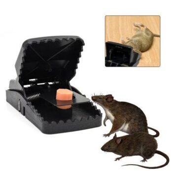 Piège À Souris Très Efficace