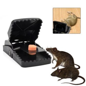 Piège À Souris Très Efficace