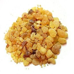Encens Grains résine de oliban 1 kg