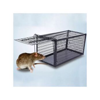 Piège Cage À Souris