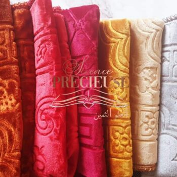 Tapis de luxe épais et Ultra doux