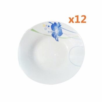 Lot de 12 assiettes cassables pouce 09