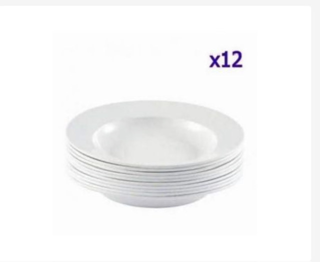 Lot de 12 assiettes incassables
