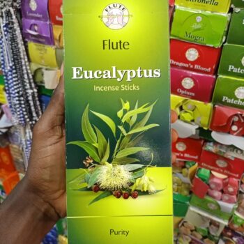Encens Eucalyptus 120 bâtonnets