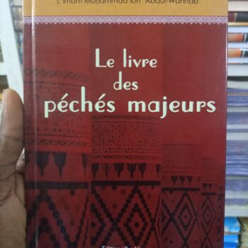 le livre des péchés majeurs