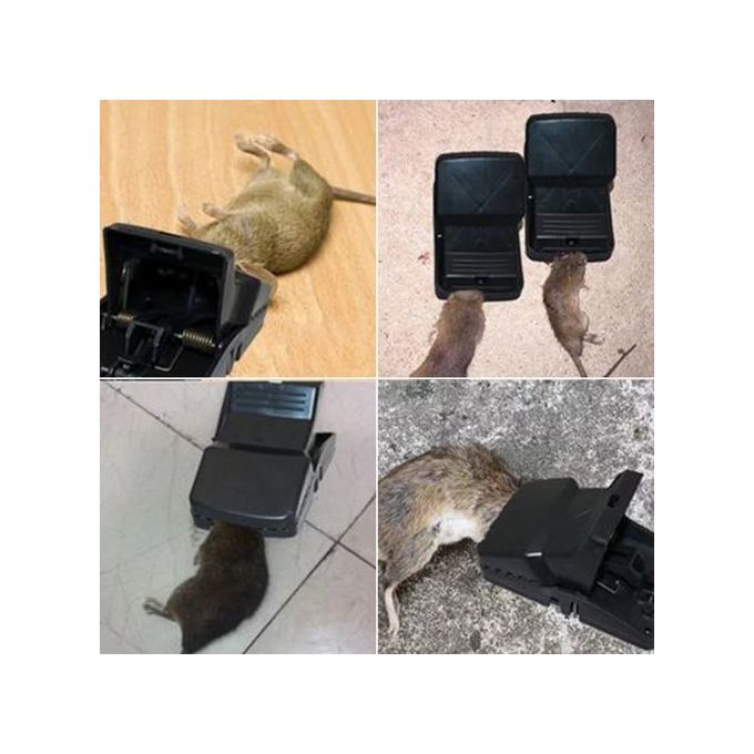 Piège À Souris Très Efficace – Image 2