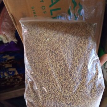 Bio graine de fenugrec 100% naturelle 1 kg