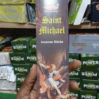 Encens Saint Michel 20 bâtonnets