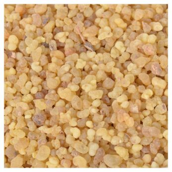 Encens Grains résine de oliban 1/4 Quart