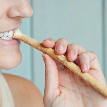 Siwak Miswak - Cuire dent - Brosse à dents Naturelle